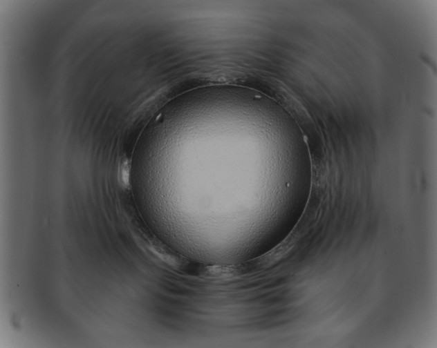 X0000091190095200709061022