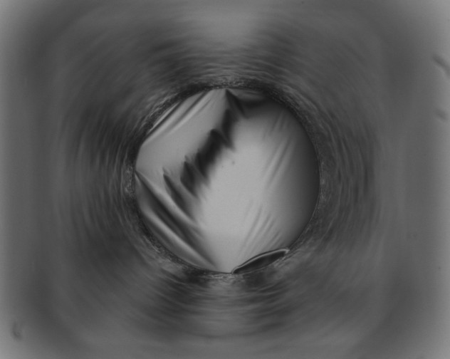 X0000091190096200709061022