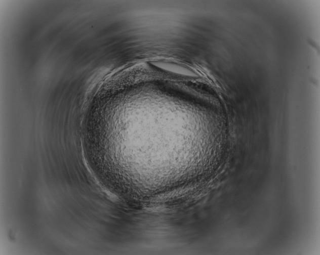 X0000091190097200709061022