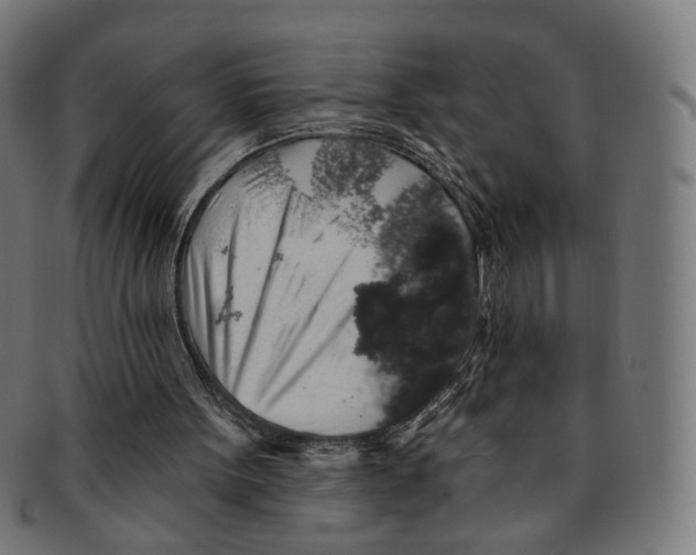 X0000091190099200709061022