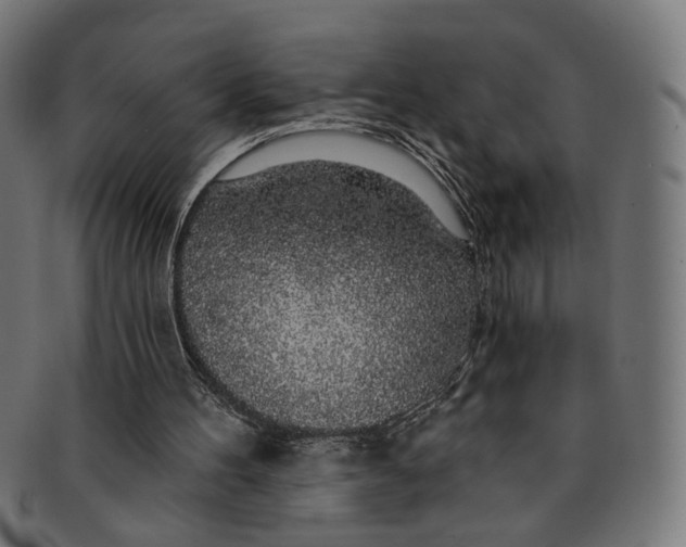 X0000091190100200709061022