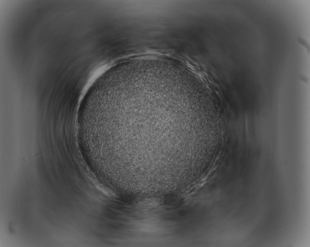 X0000091190102200709061022