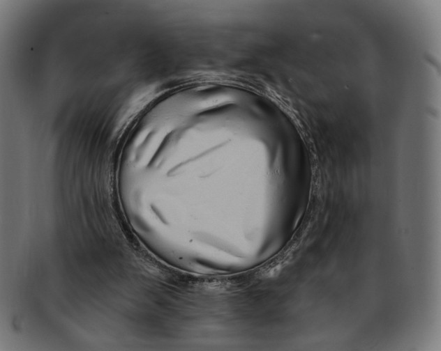 X0000091190103200709061022