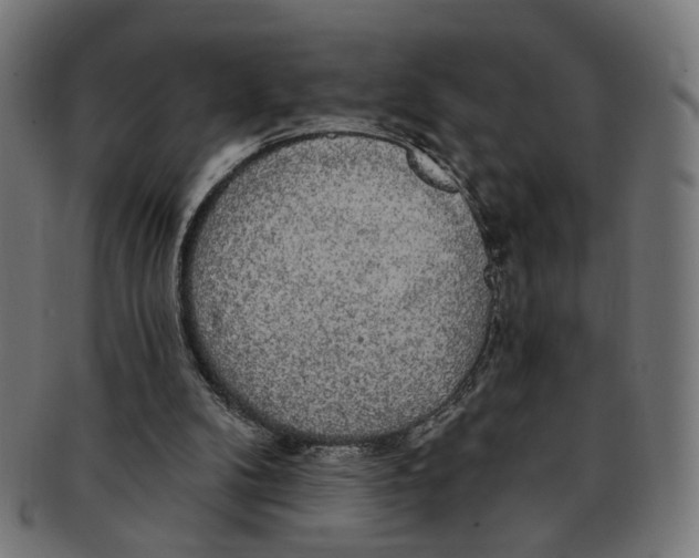 X0000091190104200709061022