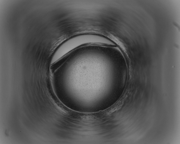 X0000091190105200709061022