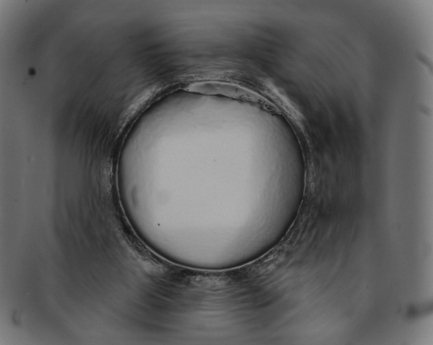 X0000091190107200709061022