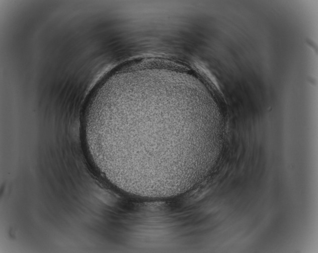 X0000091190108200709061022