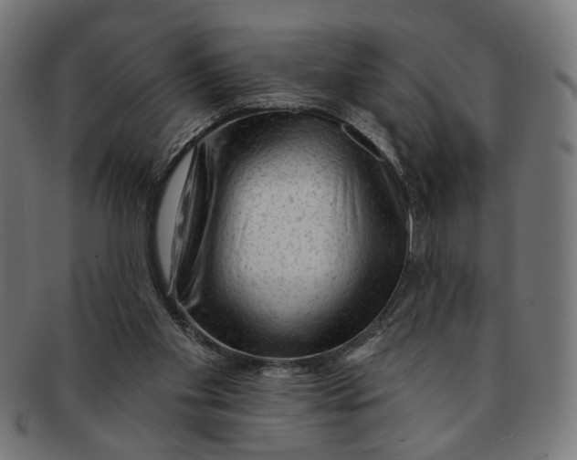 X0000091190109200709061022