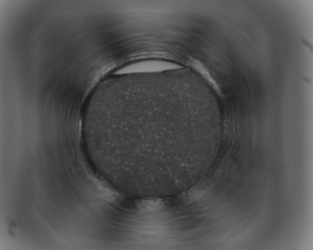 X0000091190110200709061022