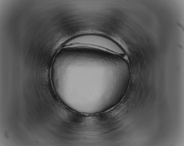 X0000091190111200709061022