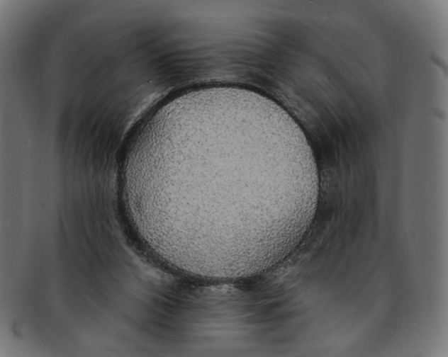 X0000091190112200709061021