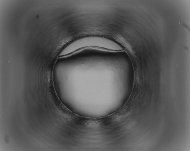 X0000091190115200709061021