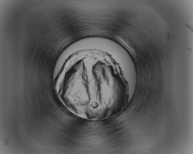 X0000091190117200709061021