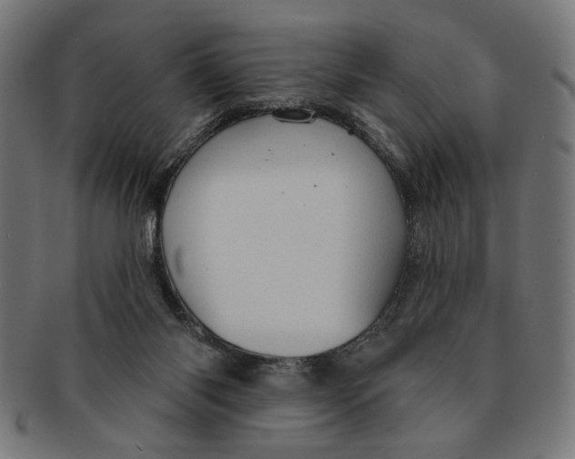 X0000091190118200709061021