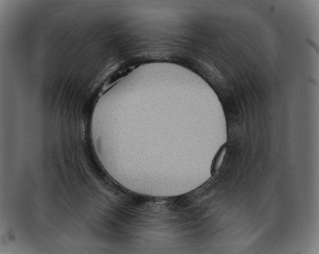 X0000091190120200709061021