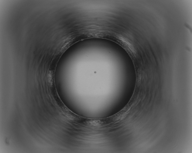 X0000091190121200709061021