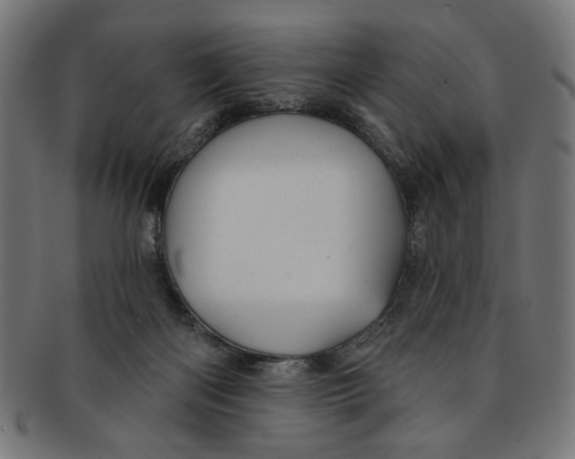 X0000091190122200709061021