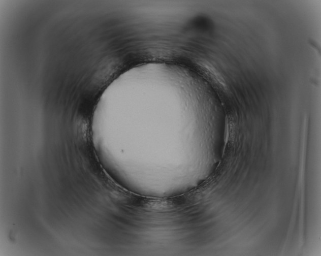 X0000091190123200709061021