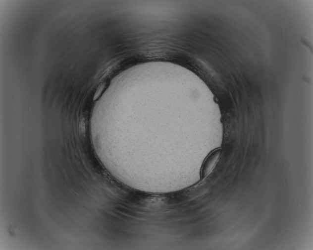 X0000091190124200709061021