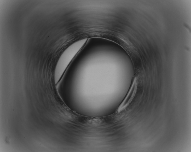 X0000091190125200709061021