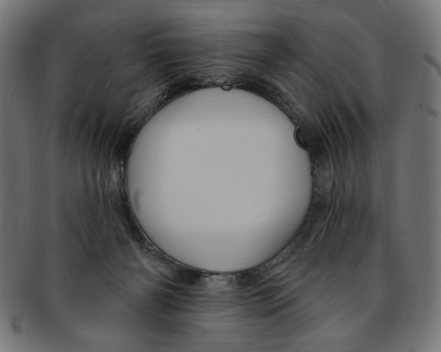 X0000091190126200709061021