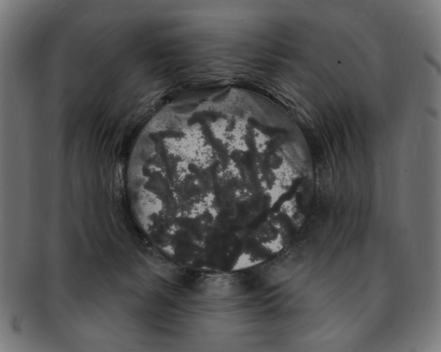 X0000091190127200709061021