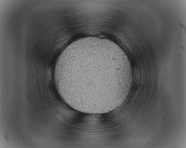 X0000091190128200709061021