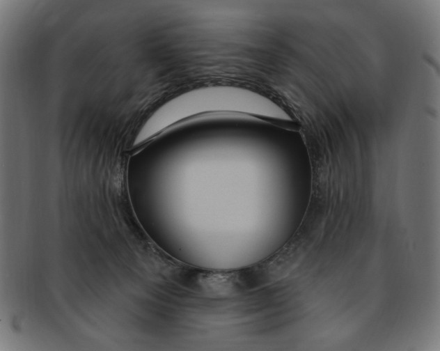 X0000091190129200709061021