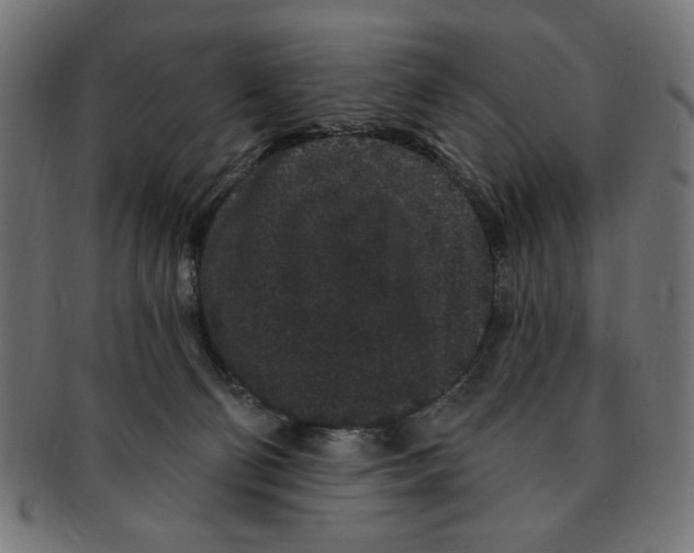 X0000091190130200709061021