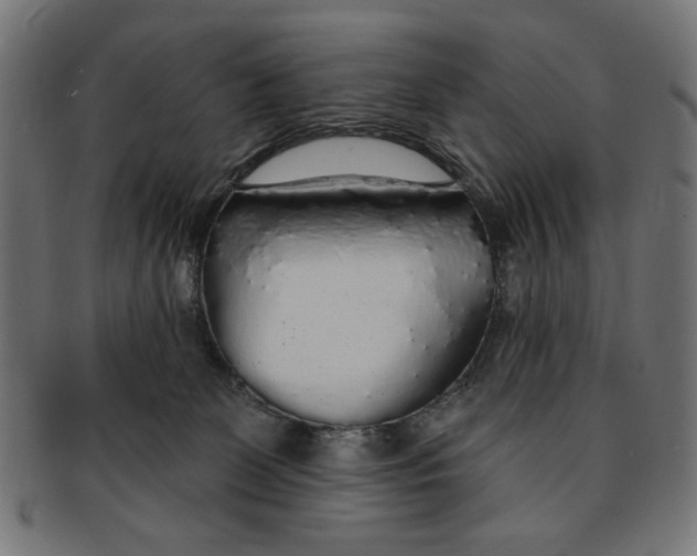 X0000091190131200709061021