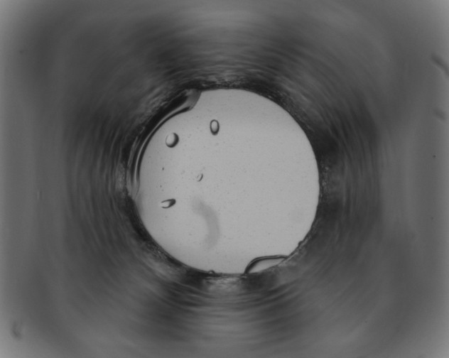 X0000091190132200709061021