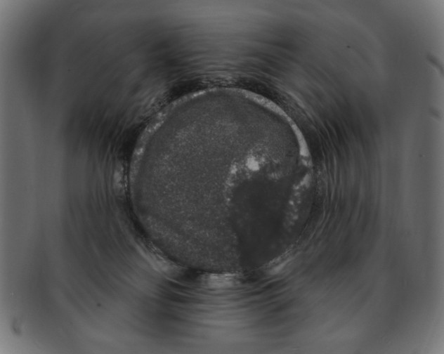 X0000091190134200709061021