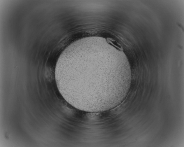 X0000091190136200709061021