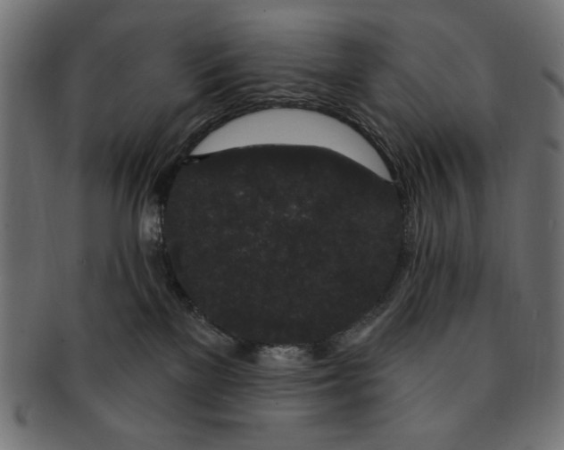 X0000091190137200709061021