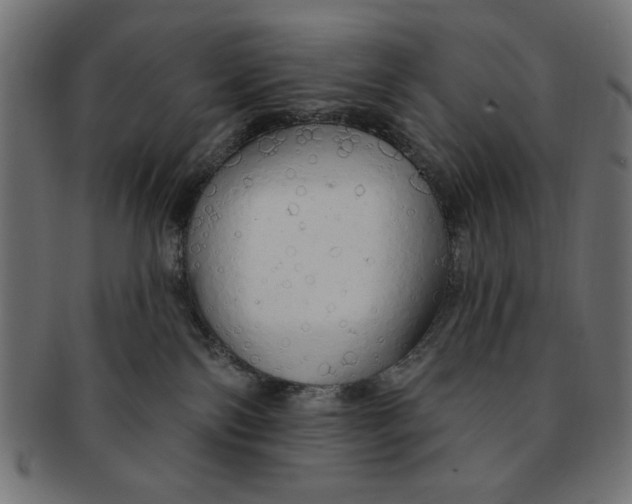 X0000091190138200709061021