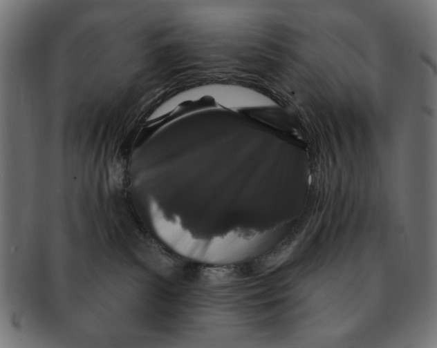 X0000091190139200709061021