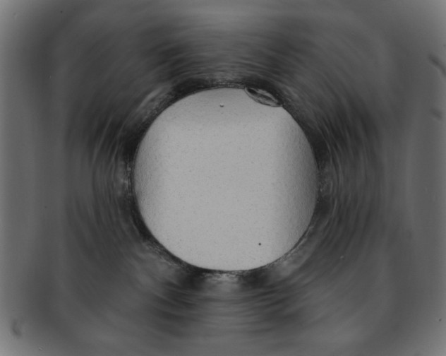 X0000091190140200709061021