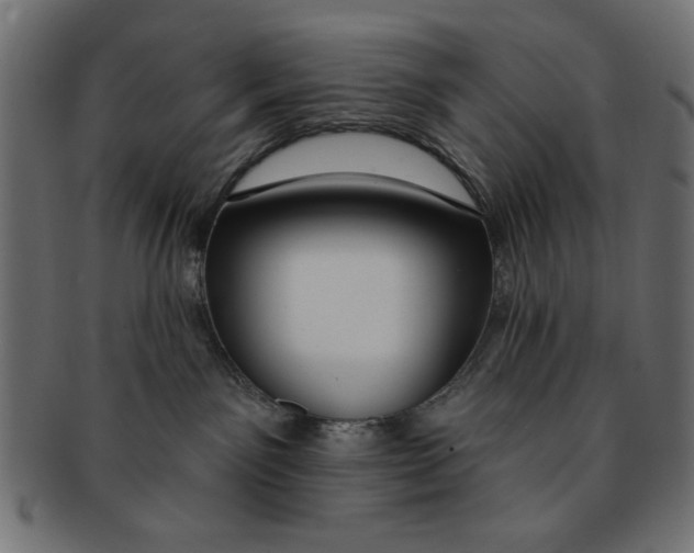 X0000091190141200709061021