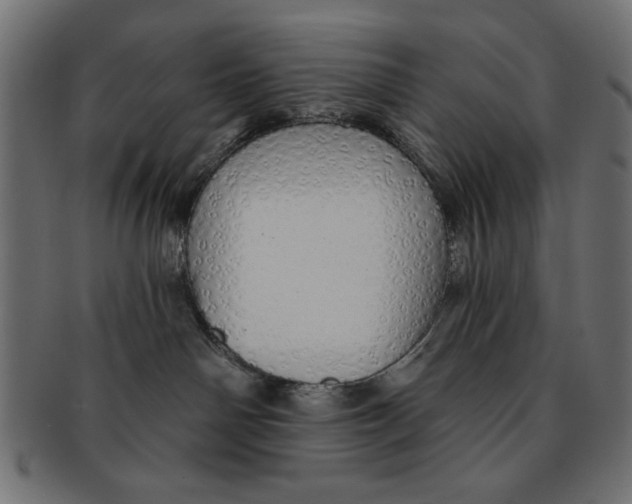 X0000091190142200709061021