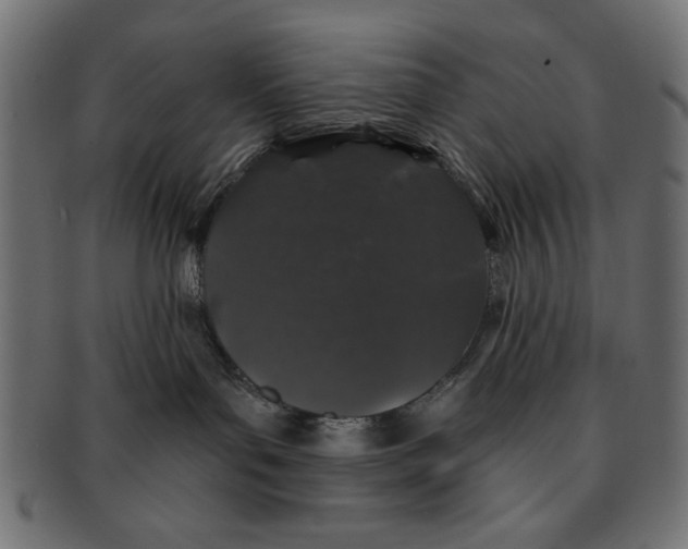 X0000091190143200709061021