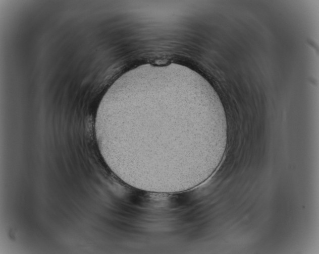 X0000091190144200709061021