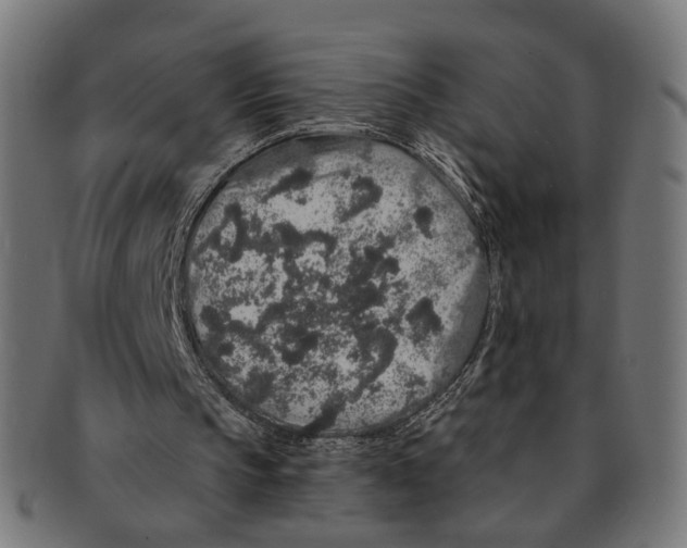 X0000091190145200709061020