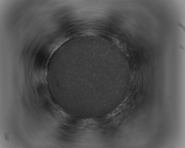 X0000091190146200709061020