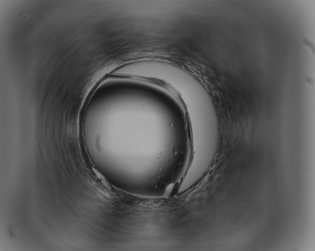 X0000091190148200709061020