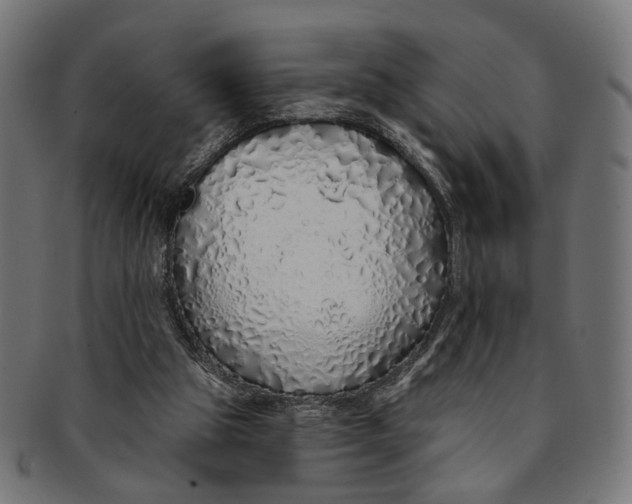 X0000091190153200709061020