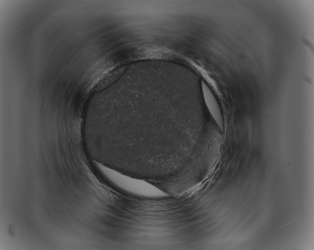 X0000091190154200709061020