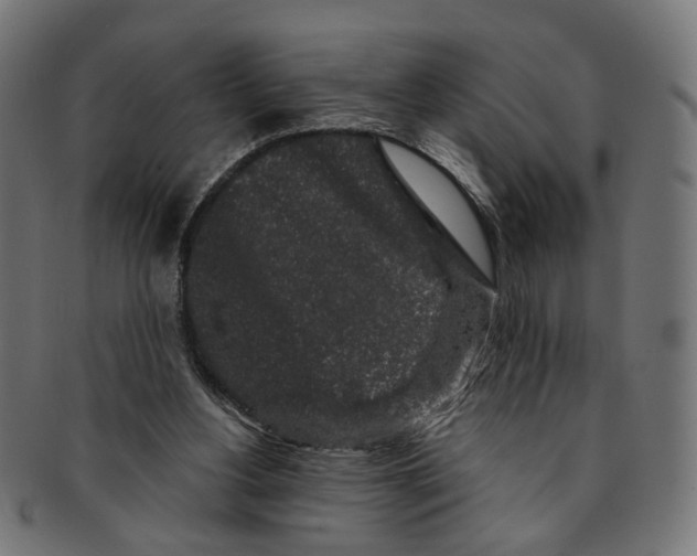 X0000091190156200709061020