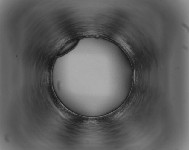 X0000091190157200709061021