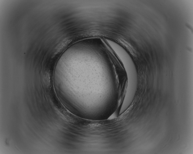 X0000091190158200709061021