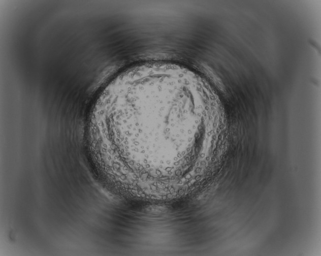 X0000091190159200709061021